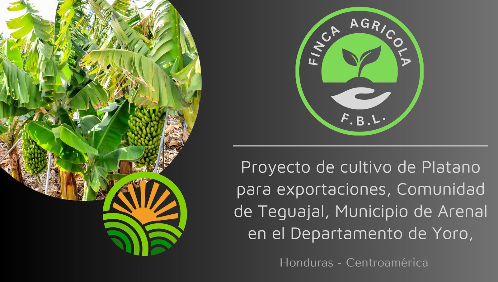 Finca F.B.L. PDF | 2025